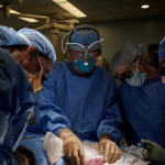 Médicos transplantam rim de porco para humano pela 1º vez nos EUA-min
