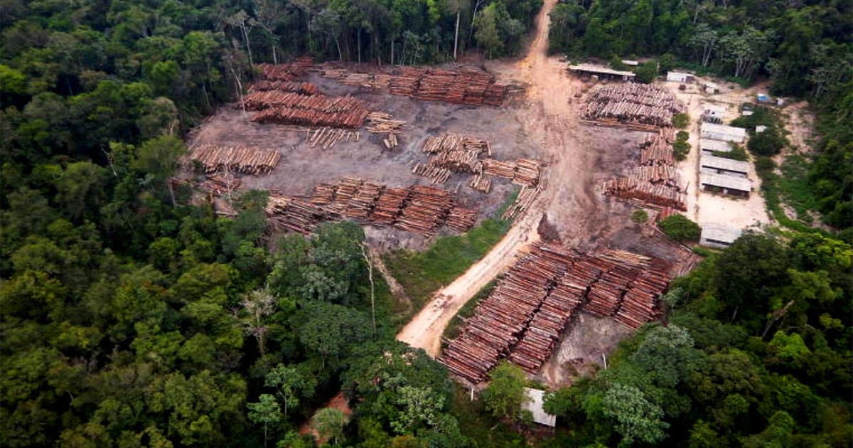 Brasil se compromete em acabar o desmatamento até 2030