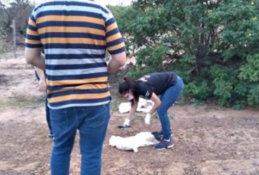 Corpo de criança recém-nascida é encontrada dentro de saco em lixão no Piauí
