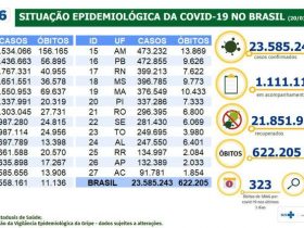 Mortes por covid-19 no Brasil chegam a 622,2 mil