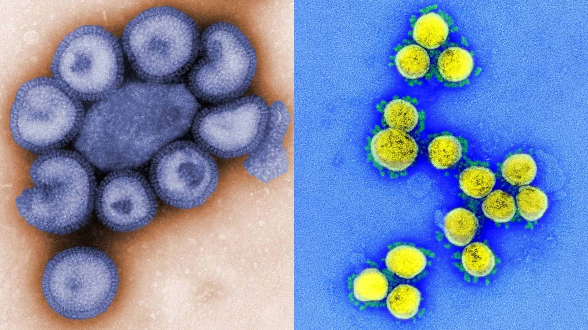 Piauí regista primeiro caso de dupla infecção por covid e gripe-min