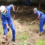 Detentos trabalham na limpeza externa do IML do Piauí
