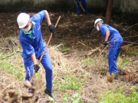 Detentos trabalham na limpeza externa do IML do Piauí