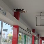 Dois dias após reformas, três paradas de ônibus são depredadas em Teresina