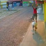 Homem tenta roubar fios de telefone montado em cavalo no sul do Piauí