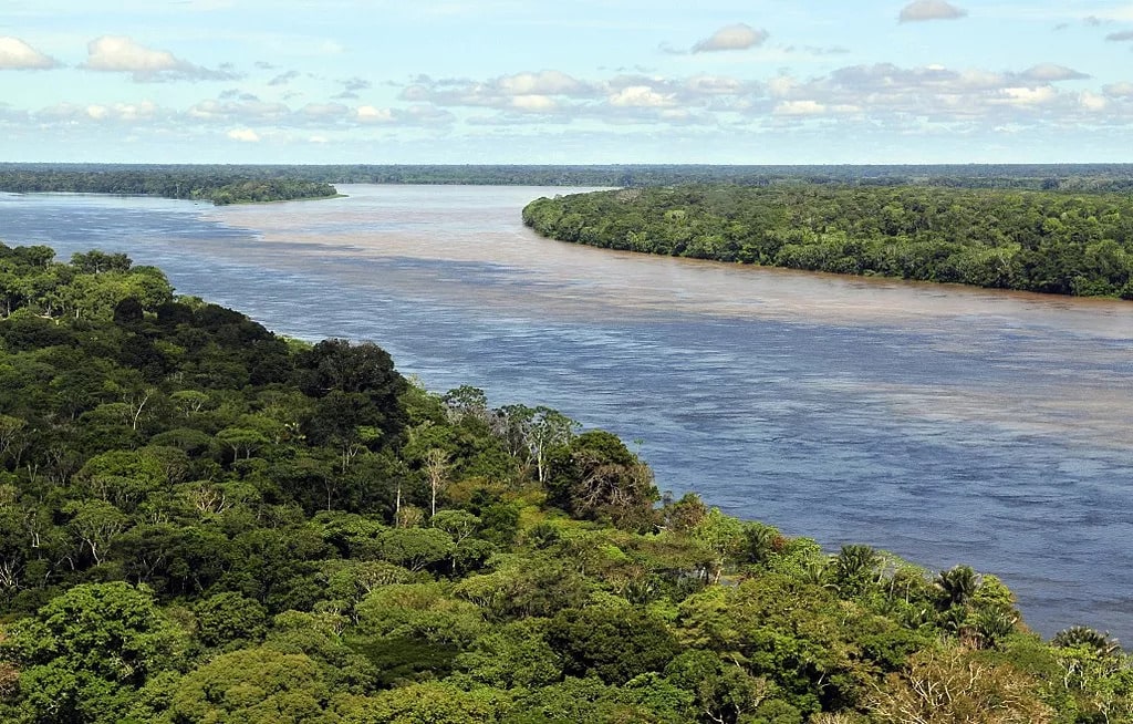 Deveriam pagar brasileiros para não cortarem florestas