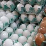 Em 1 ano preço da cartela de ovos subiu 16%