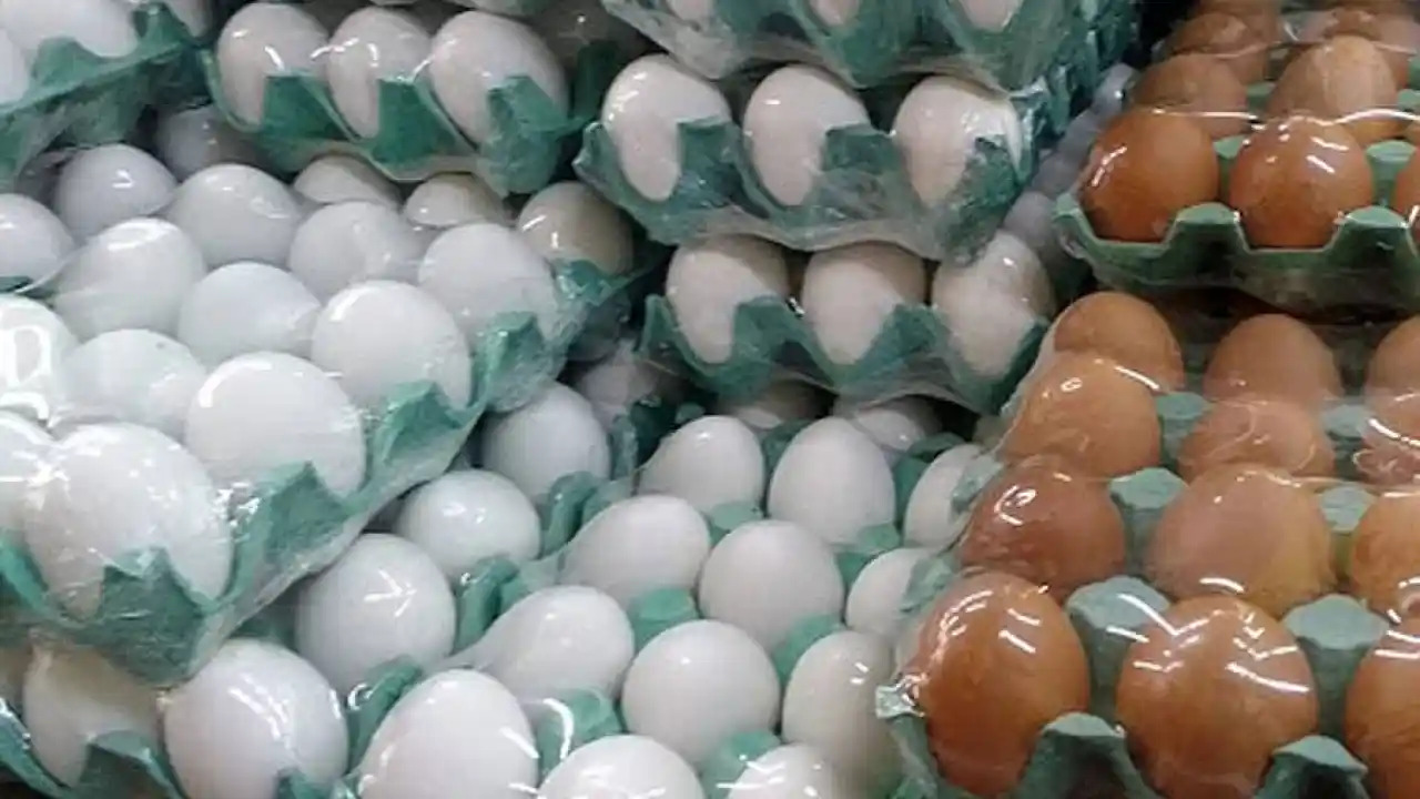 Em 1 ano preço da cartela de ovos subiu 16%