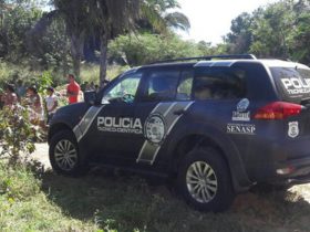 Homem morre eletrocutado após podar uma árvore em Teresina