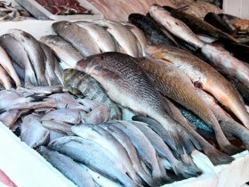 Órgão de saúde orienta sobre a escolha do peixe durante o período da Semana Santa