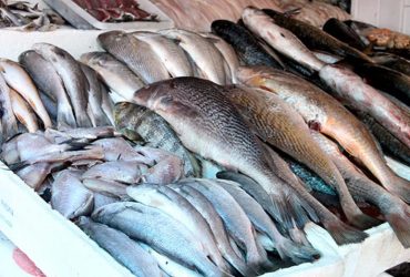 Órgão de saúde orienta sobre a escolha do peixe durante o período da Semana Santa