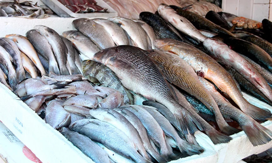 Órgão de saúde orienta sobre a escolha do peixe durante o período da Semana Santa