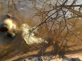 Pescadores acham corpo enroscado em rede de pesca no interior do Piauí