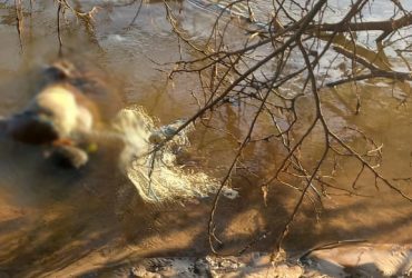 Pescadores acham corpo enroscado em rede de pesca no interior do Piauí