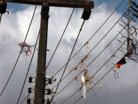 Equatorial Piauí alerta sobre o risco de soltar pipas próximo a rede elétrica