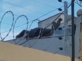 Ladrão é filmado dormindo no telhado de uma casa em Timon