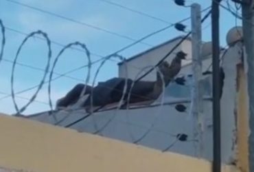 Ladrão é filmado dormindo no telhado de uma casa em Timon