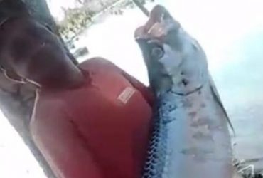 Pescador pega peixe gigante no interior do Piauí