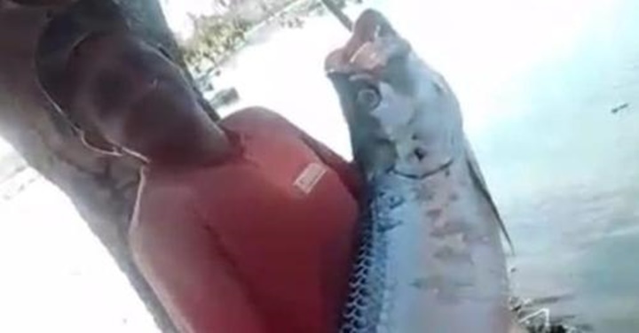 Pescador pega peixe gigante no interior do Piauí
