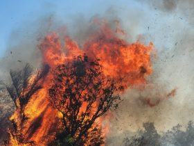 Incêndio na Serra de Santo Antônio já dura mais de dois dias