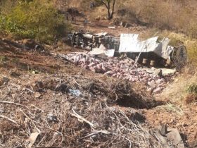 Caminhão carregado de carne tomba e carga é saqueada por populares no Piauí