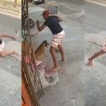 Ladrão é mordido por cão durante assalto em Fortaleza