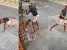 Ladrão é mordido por cão durante assalto em Fortaleza