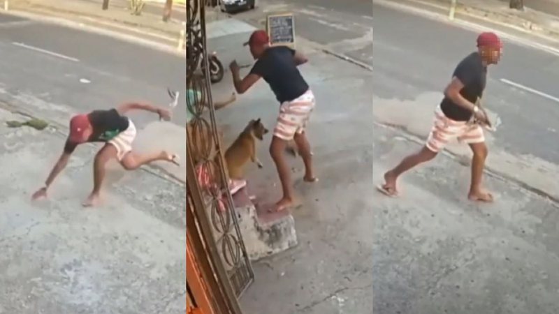 Ladrão é mordido por cão durante assalto em Fortaleza