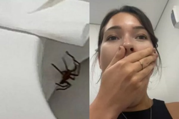 Modelo encontra aranha venenosa após se levantar de vaso sanitário e fica horrorizada