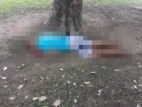 Homem é executado a tiros embaixo de uma árvore em Teresina