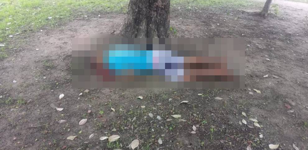 Homem é executado a tiros embaixo de uma árvore em Teresina