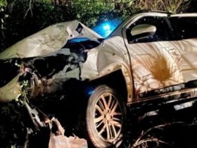 Motorista perde controle de carro e colide contra carnaúba no Piauí