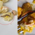 Mulher encontra larvas em pratos servidos por restaurante em Teresina