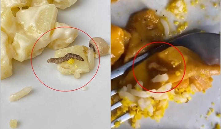 Mulher encontra larvas em pratos servidos por restaurante em Teresina
