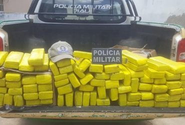 PM encontra 85kg de droga enterrada em mata no interior do Piauí