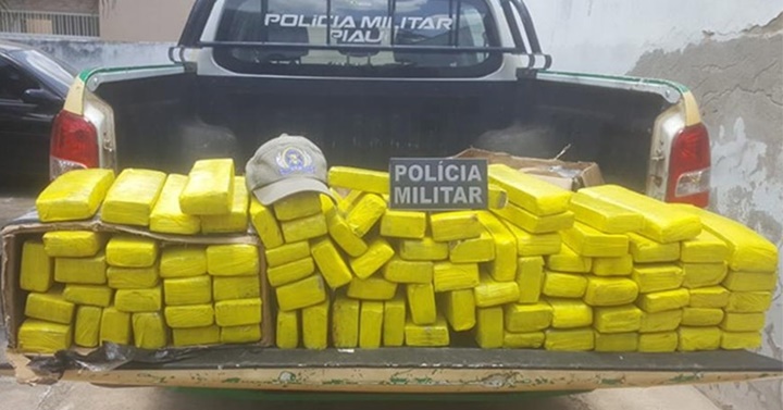 PM encontra 85kg de droga enterrada em mata no interior do Piauí