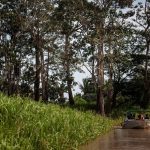 Desde a posse do Lula desmatamento na Amazônia bate recorde