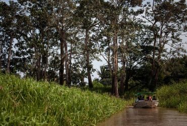 Desde a posse do Lula desmatamento na Amazônia bate recorde