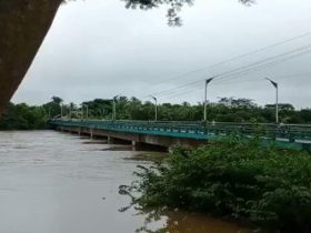 Rio Longá atinge cota de inundação em Esperantina