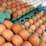 Preço do ovo nos supermercado teve um aumento de quase 30% em 2023