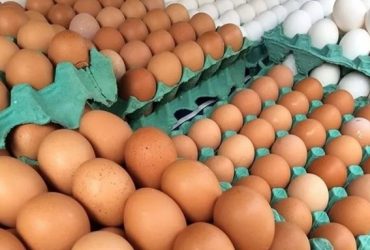 Preço do ovo nos supermercado teve um aumento de quase 30% em 2023