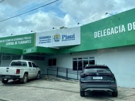 Estudante é apreendido após fazer apologia ao nazismo e ameaças de massacre em escola em Teresina