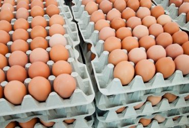 Preço do ovo ficou mais caro e está em falta em diversas cidades pelo país
