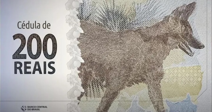 Após dois anos de lançamento, onde foram parar as notas de R$ 200?