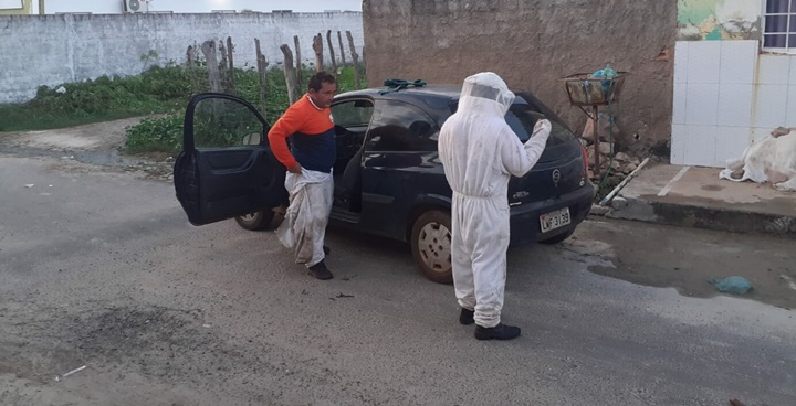 Duas pessoas ficam feridas após ataque de abelhas em Campo Maior