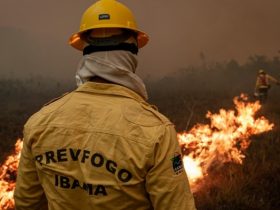 Ibama lança processo seletivo com mais de 60 vagas para o Piauí e com salários de até R$ 5.208,00