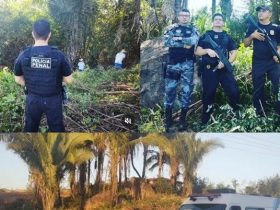 Detentos limpam terreno que será construído novo batalhão da Polícia Militar no Piauí