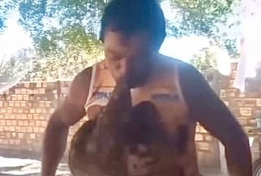 Vídeo: Cowboy é criticado por maus-tratos a animais após pendurar galinha com a boca em Campo Maior