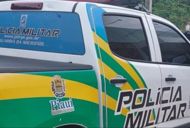 Homem tenta assassinar irmão com golpes de enxada no interior do Piauí