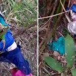 Populares descobrem esconderijo de ladrão de calcinhas no interior do Piauí